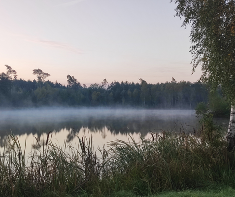 2025 Whg 4 DG (1).png