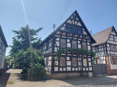 Kandel Häuser, Kandel Haus kaufen