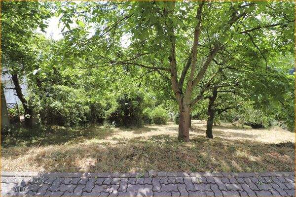 Blick von der Straße nach Süden