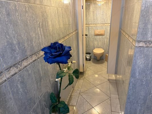 Toiletten Damen