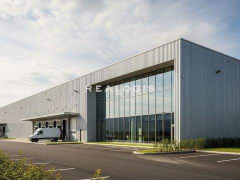 Pforzheim Halle, Pforzheim Hallenfläche