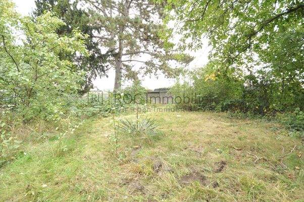 Garten hinter dem Haus