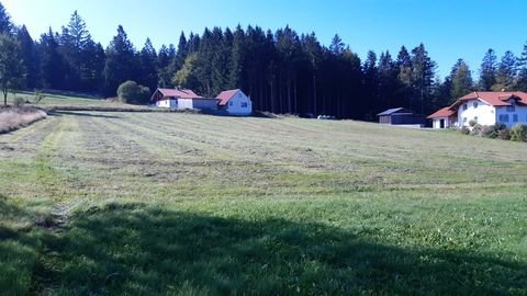 Herzogsreut Grundstücke, Herzogsreut Grundstück kaufen