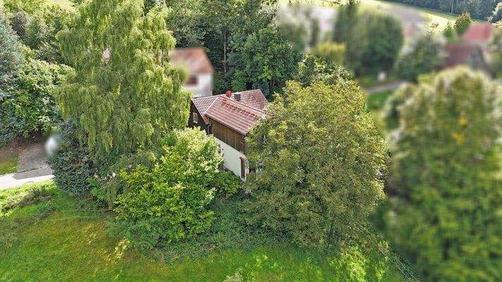 Geschützt hinter großen Bäumen