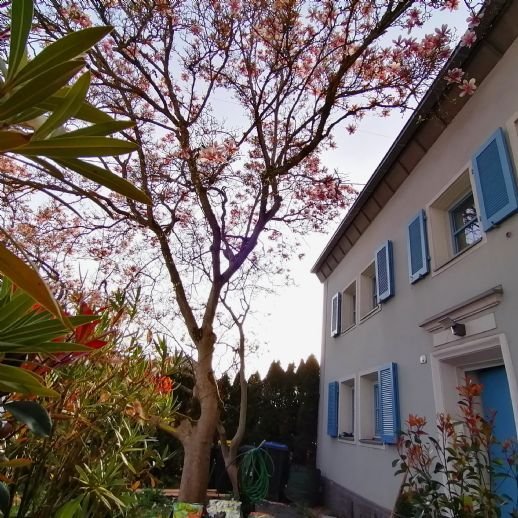 EBK DSL Hochwertig Wunderschönes Bauernhaus