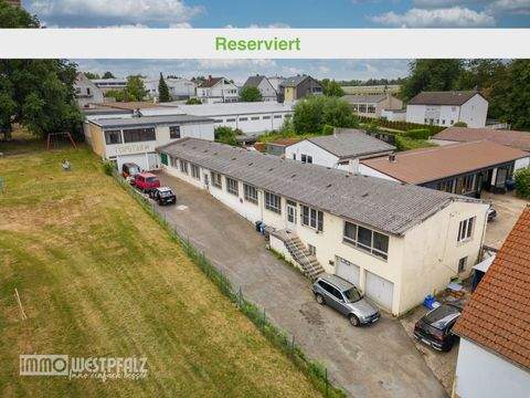 Pirmasens Halle, Pirmasens Hallenfläche