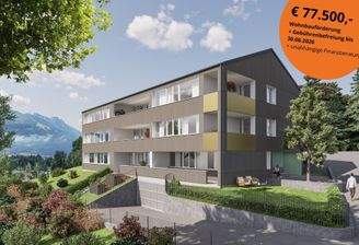 GÖFIS NO Vignette.jpg