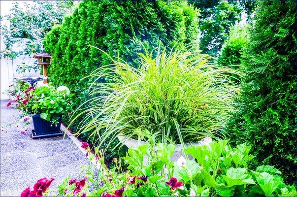 Eine weitere Ansicht auf den liebevoll gestalteten Garten