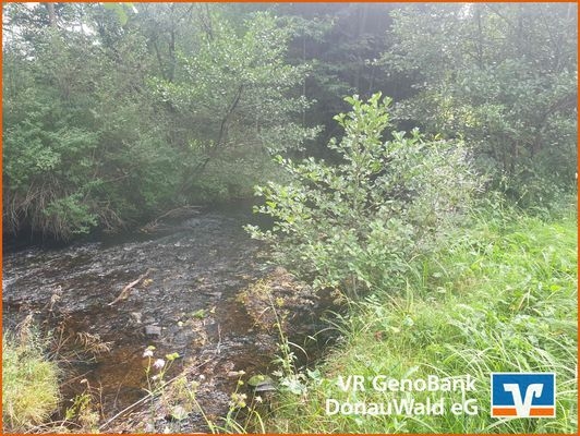 Wiese an einem Bachlauf