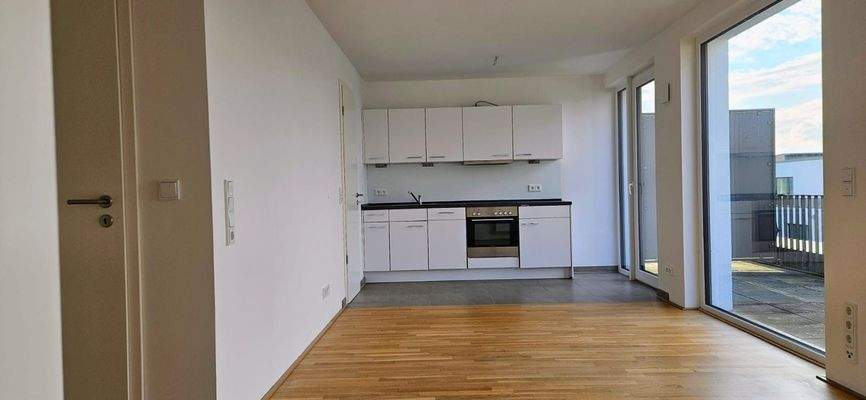 Wohnbereich / Einbauküche 