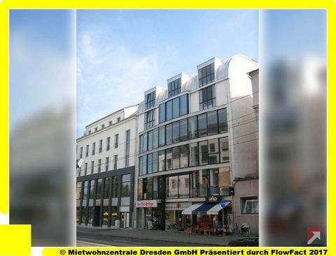 Dresden Ladenlokale, Ladenflächen 