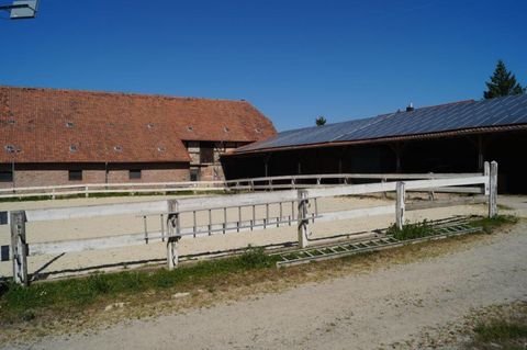 Remlingen Häuser, Remlingen Haus kaufen