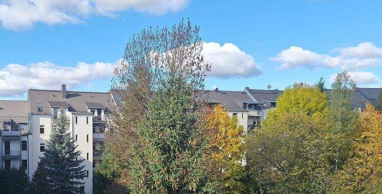 WhatsApp Image 2025-10-18 at 13.52.28 (1).jpeg