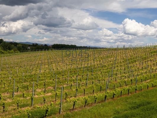 "Azienda Agricola" im Herzen der Toskana in Montepulciano - Italien