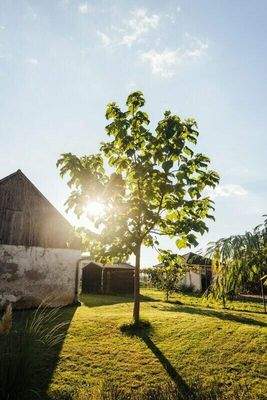 J6rhW8cGclOUVoA4KlHM