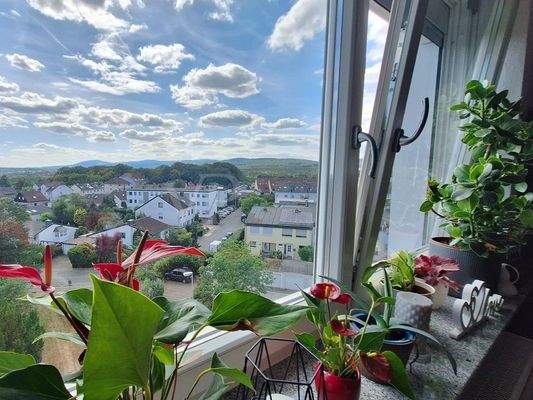 Blick aus dem Wohnbereich