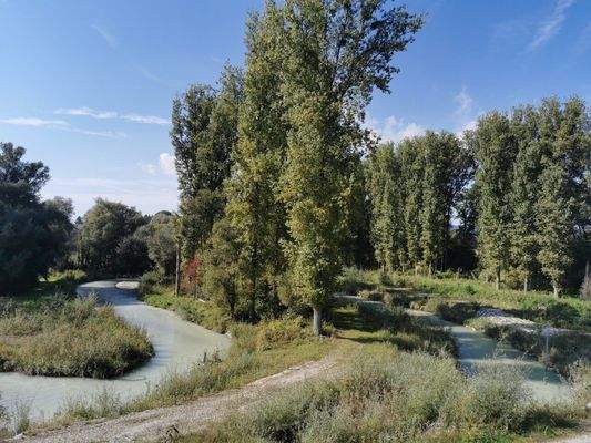 einzigartiges Vogelschutzgebiet