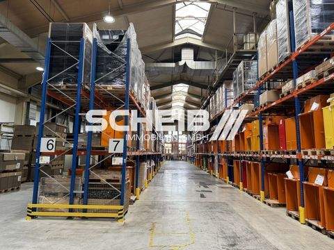 Gaildorf Halle, Gaildorf Hallenfläche