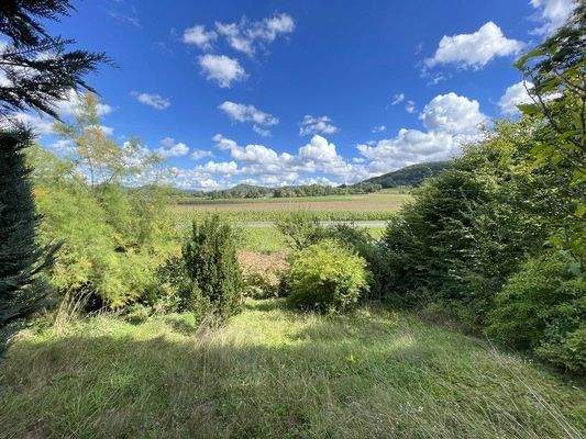Fernblick aus dem Garten