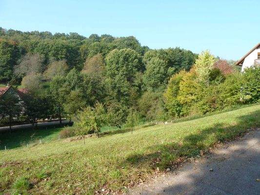 Viel Grün, Ruhe und Sonne... die Südostansicht mit herrlichem Blick ins Kirschental