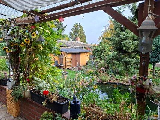 Blick in den Garten.jpg