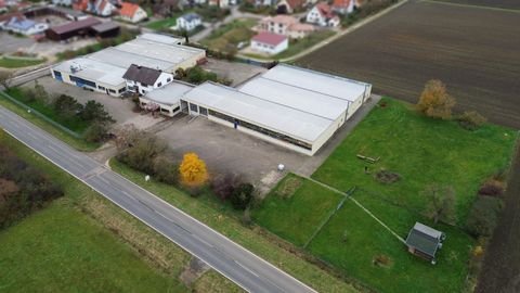 Ellingen Halle, Ellingen Hallenfläche