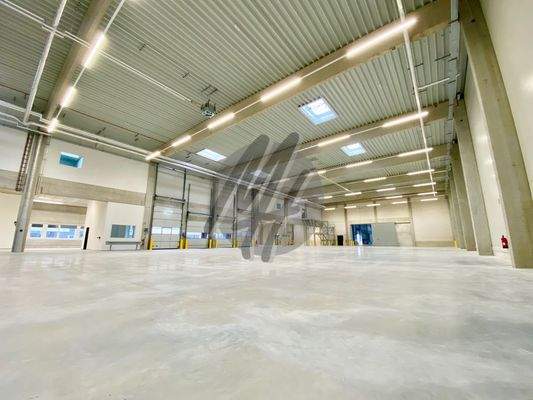 INFOS UNTER: 06171-586000