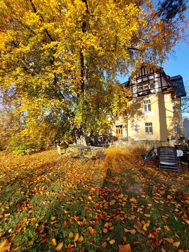Mega schöne historische 4 Raum Wohnung Werdau Stadtrand zu vermieten - Foto 4