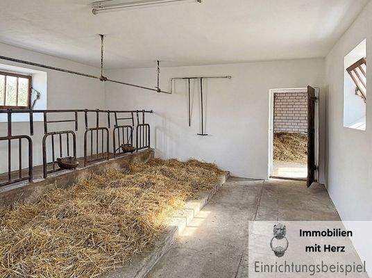 Stalltrakt virtuell aufgeräumt