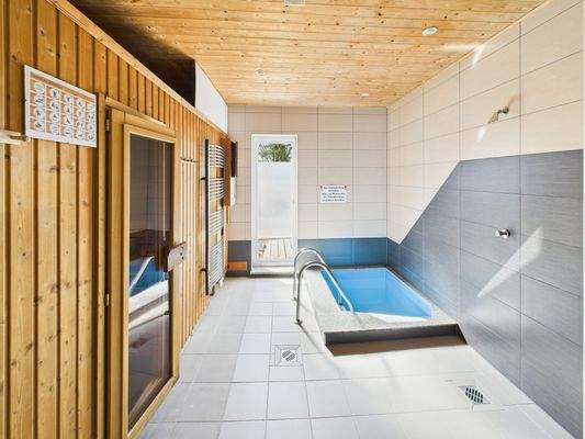 Sauna mit Eisbecken