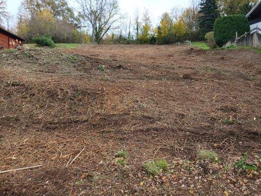 Bauplatz Burgbrohl Ausblick Nr. 2.jpeg