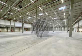 INFOS UNTER: 06171-586000