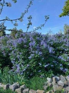 EF3CF804-D0F5-4BCE-8ECF-241619362F2F_1_105_c