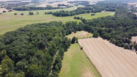 Jesewitz / Kossen Bauernhöfe, Landwirtschaft, Jesewitz / Kossen Forstwirtschaft