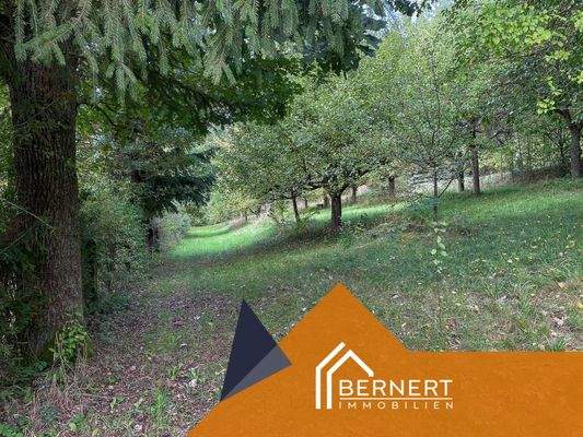 Streuobstwiese unten