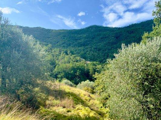 AP976_24 TERRA ITALIA IMMOBILIEN_TERRA ITALIA IMMO