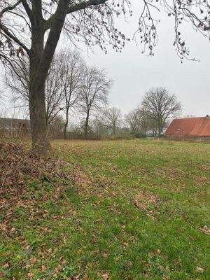 Blick auf das Grundstück