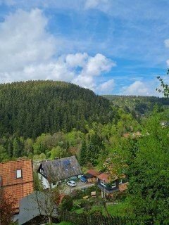 Harz Wohnungen, Harz Wohnung kaufen