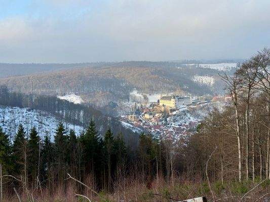 004020156800_302_361_26012026210501517