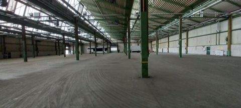 Homberg Halle, Homberg Hallenfläche