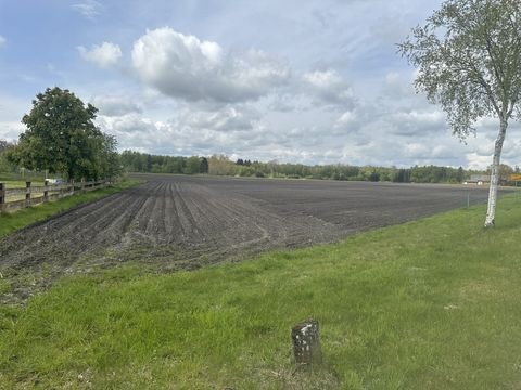 Wittingen-T Grundstücke, Wittingen-T Grundstück kaufen