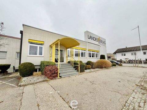 Wels Halle, Wels Hallenfläche