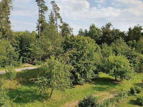 Waldshut-Tiengen Wohnungen, Waldshut-Tiengen Wohnung mieten