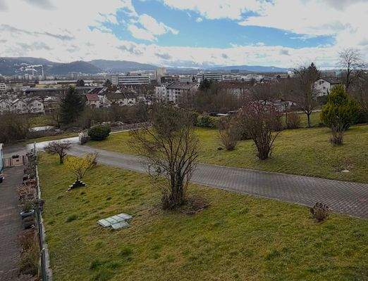 Blick in die Schweiz.jpg