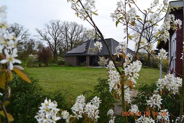 Blick von rechts auf den Garten.jpg