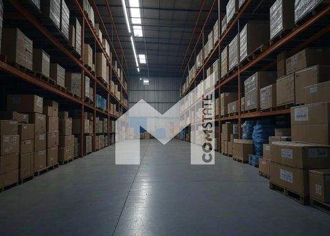 Hürth Halle, Hürth Hallenfläche