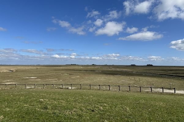 Weitblick über die Hallig