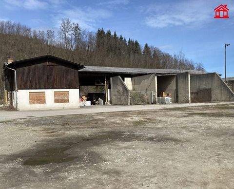 Eibiswald Halle, Eibiswald Hallenfläche