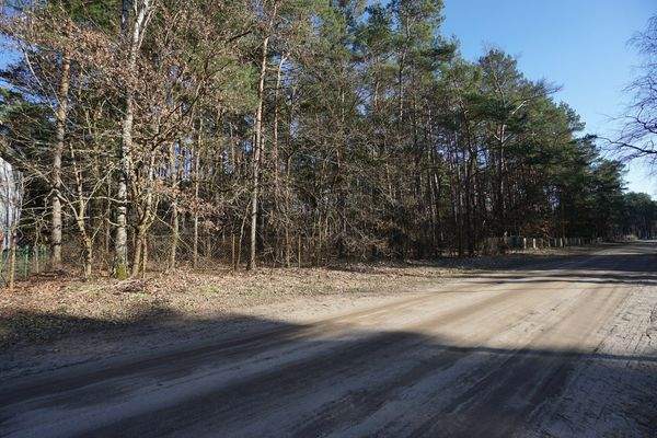 Straße vor dem Grundstück (7).jpg