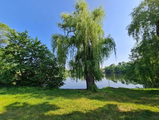 Natur mitten in der Stadt.jpg
